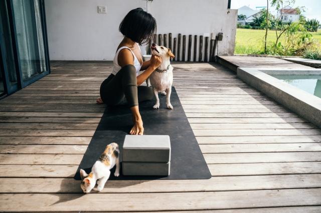 Top 10 Mix Breeds Dogs: A Comprehensive Guide